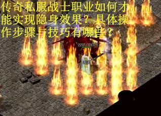 传奇私服战士职业如何才能实现隐身效果？具体操作步骤与技巧有哪些？