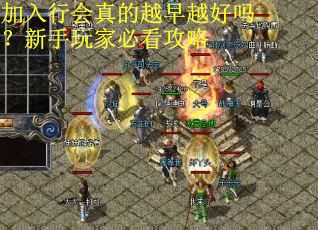 加入行会真的越早越好吗？新手玩家必看攻略