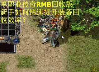 单职业传奇RMB回收版新手如何快速提升装备回收效率？