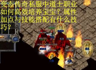 变态传奇私服中道士职业如何高效培养宝宝？属性加点与技能搭配有什么技巧？
