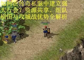 如何在传奇私服中建立强大行会？资源共享、组队刷图与攻城战优势全解析？