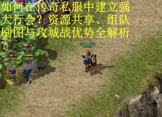 如何在传奇私服中建立强大行会？资源共享、组队刷图与攻城战优势全解析？