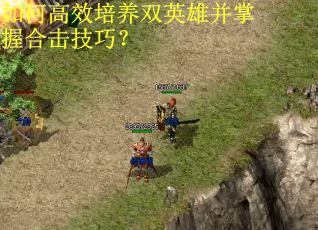 如何高效培养双英雄并掌握合击技巧？