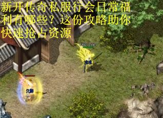 新开传奇私服行会日常福利有哪些？这份攻略助你快速抢占资源
