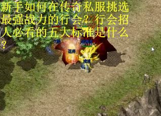 新手如何在传奇私服挑选最强战力的行会？行会招人必看的五大标准是什么？