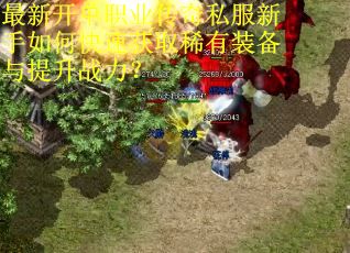最新开单职业传奇私服新手如何快速获取稀有装备与提升战力？