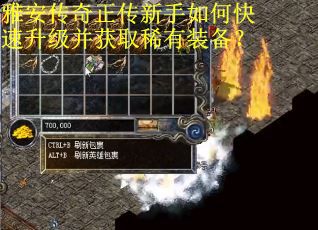 雅安传奇正传新手如何快速升级并获取稀有装备？