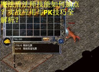 魔法盾法师技能如何加点？实战应用与PK技巧全解析？