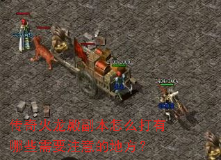 ôЩҪעĵط