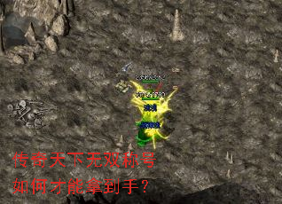 ˫ƺβõ֣