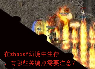 zhaosfþ棬ЩؼҪע⣿