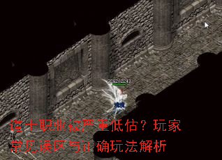 道士职业被严重低估?玩家常见误区与正确玩法解析 道士职业被严重低估?玩家常见误区与正确玩法解析