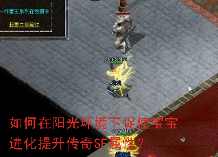 如何在阳光环境下促使宝宝进化提升传奇SF属性? 如何在阳光环境下促使宝宝进化提升传奇SF属性?