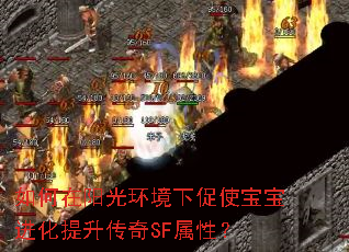 如何在阳光环境下促使宝宝进化提升传奇SF属性? 如何在阳光环境下促使宝宝进化提升传奇SF属性?