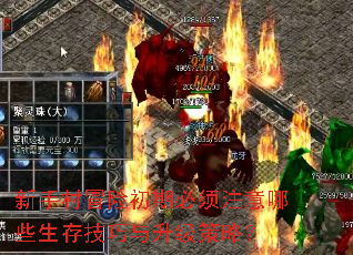 新手村冒险初期必须注意哪些生存技巧与升级策略? 新手村冒险初期必须注意哪些生存技巧与升级策略?