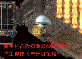 新手村冒险初期必须注意哪些生存技巧与升级策略? 新手村冒险初期必须注意哪些生存技巧与升级策略?
