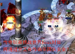 传奇玩家挑战世界boss时如何通过分工合作确保团队安全? 传奇玩家挑战世界boss时如何通过分工合作确保团队安全?