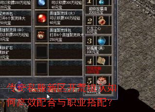 传奇私服新区开荒组队如何高效配合与职业搭配? 传奇私服新区开荒组队如何高效配合与职业搭配?