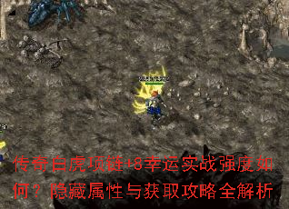 传奇白虎项链+8幸运实战强度如何?隐藏属性与获取攻略全解析 传奇白虎项链+8幸运实战强度如何?隐藏属性与获取攻略全解析