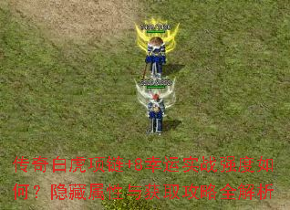 传奇白虎项链+8幸运实战强度如何?隐藏属性与获取攻略全解析 传奇白虎项链+8幸运实战强度如何?隐藏属性与获取攻略全解析