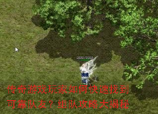 传奇游戏玩家如何快速找到可靠队友?组队攻略大揭秘 传奇游戏玩家如何快速找到可靠队友?组队攻略大揭秘