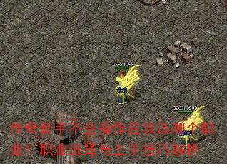 ֲӦѡĸְҵְҵѡּɽ