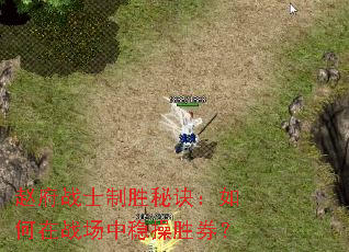 赵府战士制胜秘诀:如何在战场中稳操胜券? 赵府战士制胜秘诀:如何在战场中稳操胜券?