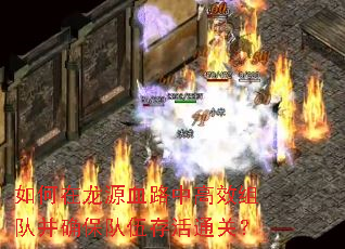 如何在龙源血路中高效组队并确保队伍存活通关? 如何在龙源血路中高效组队并确保队伍存活通关?