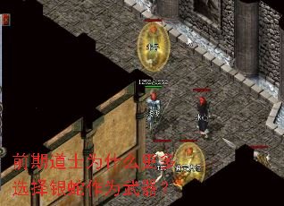 前期道士为什么更多选择银蛇作为武器? 前期道士为什么更多选择银蛇作为武器?