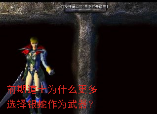前期道士为什么更多选择银蛇作为武器? 前期道士为什么更多选择银蛇作为武器?