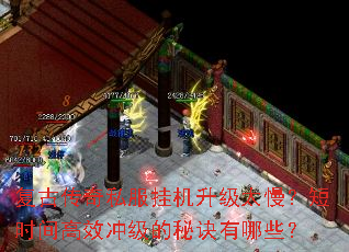 复古传奇私服挂机升级太慢?短时间高效冲级的秘诀有哪些? 复古传奇私服挂机升级太慢?短时间高效冲级的秘诀有哪些?