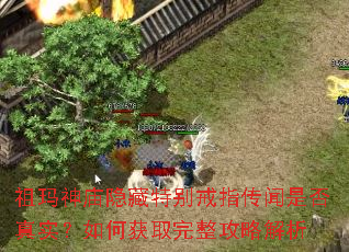 祖玛神庙隐藏特别戒指传闻是否真实?如何获取完整攻略解析 祖玛神庙隐藏特别戒指传闻是否真实?如何获取完整攻略解析