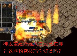 神龙宝藏隐藏入口究竟在哪?这些秘密技巧你知道吗? 神龙宝藏隐藏入口究竟在哪?这些秘密技巧你知道吗?