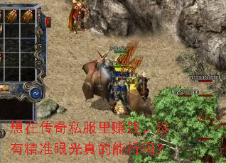 想在传奇私服里赚钱,没有精准眼光真的能行吗? 想在传奇私服里赚钱,没有精准眼光真的能行吗?