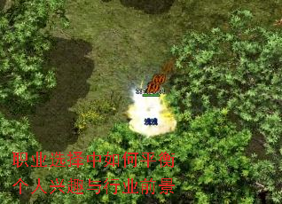 职业选择中如何平衡个人兴趣与行业前景 职业选择中如何平衡个人兴趣与行业前景