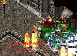 职业选择中如何平衡个人兴趣与行业前景 职业选择中如何平衡个人兴趣与行业前景