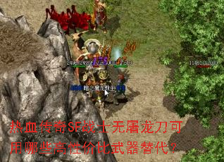 热血传奇SF战士无屠龙刀可用哪些高性价比武器替代? 热血传奇SF战士无屠龙刀可用哪些高性价比武器替代?