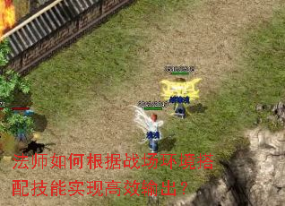 法师如何根据战场环境搭配技能实现高效输出? 法师如何根据战场环境搭配技能实现高效输出?