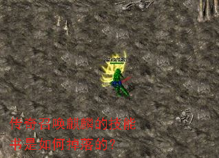 传奇召唤麒麟的技能书是如何掉落的? 传奇召唤麒麟的技能书是如何掉落的?