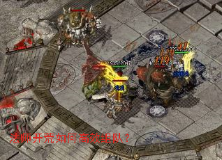 ��ʦ������θ�Ч��ӣ�