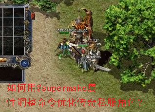 如何用@supermake属性调整命令优化传奇私服角色? 如何用@supermake属性调整命令优化传奇私服角色?