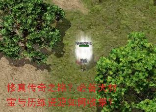 修真传奇之路?必备天材宝与历练资源如何收集? 修真传奇之路?必备天材宝与历练资源如何收集?