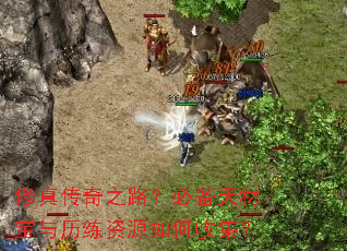 修真传奇之路?必备天材宝与历练资源如何收集? 修真传奇之路?必备天材宝与历练资源如何收集?