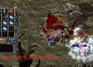 新手如何快速升到900级? 新手如何快速升到900级?