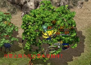 ����֮·Ϊ������ʧ����飿