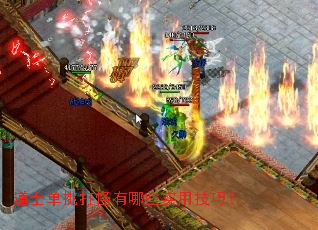 道士单挑打怪有哪些实用技巧? 道士单挑打怪有哪些实用技巧?