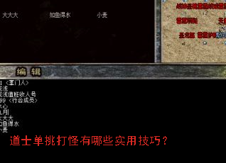 道士单挑打怪有哪些实用技巧? 道士单挑打怪有哪些实用技巧?