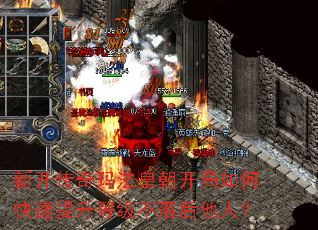 新开传奇玛法皇朝开局如何快速提升等级不落后他人? 新开传奇玛法皇朝开局如何快速提升等级不落后他人?