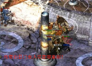 传奇白日门食人花在哪里刷? 传奇白日门食人花在哪里刷?