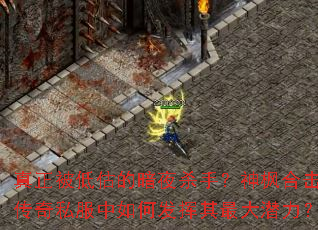 真正被低估的暗夜杀手?神枫合击传奇私服中如何发挥其最大潜力? 真正被低估的暗夜杀手?神枫合击传奇私服中如何发挥其最大潜力?